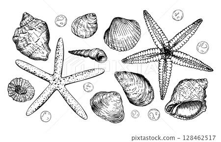 A set of detailed black and white vector illustrations. Various seashells, two starfish and small bubbles. This marine themed collection ideal for ocean art or nautical design projects. 128462517