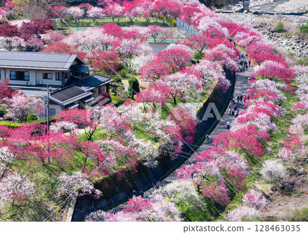 Hanamomo no Sato, Achi Village, Nagano Prefecture 128463035