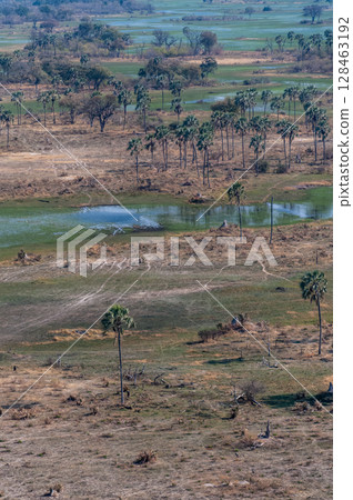 Aerial view of the Okavango Delta 128463192