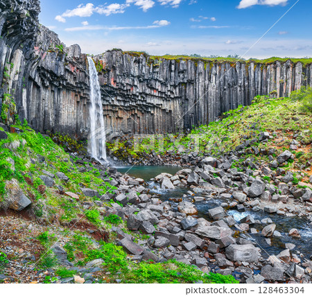 Ramarkable view of Svartifoss waterfall with basalt columns on southern part of Iceland. 128463304