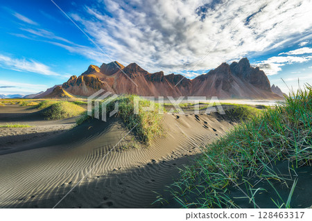 Amazing sunny day and gorgeous rippled black sand beach with dunes and green grass on Stokksnes cape in Iceland. 128463317