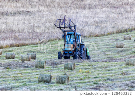 agricultural wheeled tractor collecting hay bales in a field 128463352