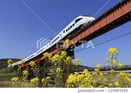 Kamome 885 series express train running over a railway bridge and rape blossoms 128463585