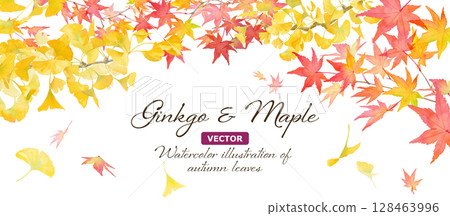 Watercolor illustration of autumn leaves and ginkgo trees. Banner background with autumnal images. Frame decoration. (Vector) 128463996