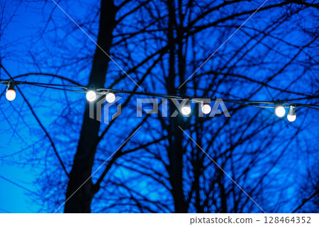 A captivating evening scene featuring a string of illuminated outdoor globe lights set against a deep blue twilight sky and the dark silhouettes of bare tree branches 128464352