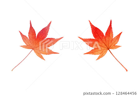 落葉插畫水彩枯葉 128464456