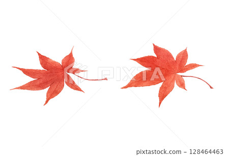 落葉插畫水彩枯葉 落葉插畫水彩枯葉 128464463