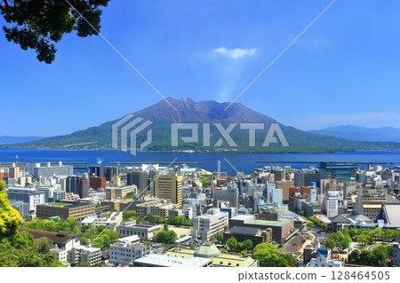 [Kagoshima Prefecture] Sakurajima and Kagoshima City as seen from Shiroyama Park Observatory 128464505