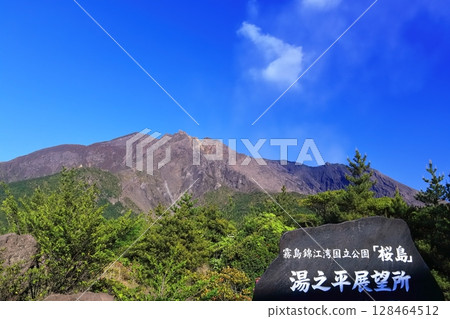 [Kagoshima Prefecture] Sakurajima seen from Yunohira Observatory on a sunny day 128464512