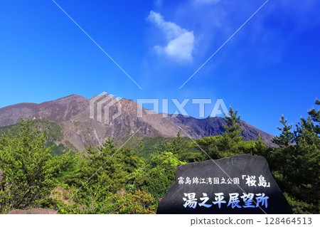 [Kagoshima Prefecture] Sakurajima seen from Yunohira Observatory on a sunny day 128464513