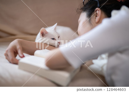 一位女士在看書,一隻白貓在打盹 一位女士在看書,一隻白貓在打盹 128464603