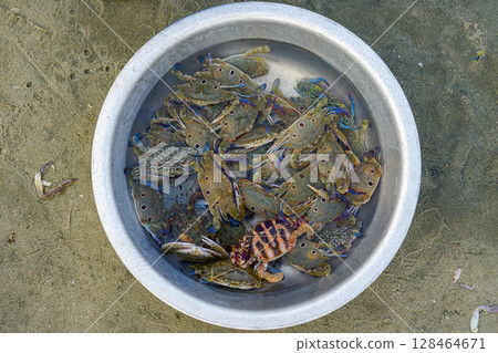 Fresh Blue Crabs in Basin Awaiting Sale at Morning Seafood Market, Mui Ne, Vietnam 128464671