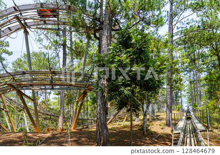 Alpine Coaster Ascending Through Pine Forest at Datanla Waterfall Park in Da Lat, Vietnam 128464679