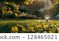 Garden sprinkler watering vibrant flowers in early morning sunlight 128465021