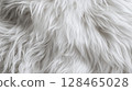 Soft white fur texture captured in close-up detail revealing gentle waves and curls 128465028