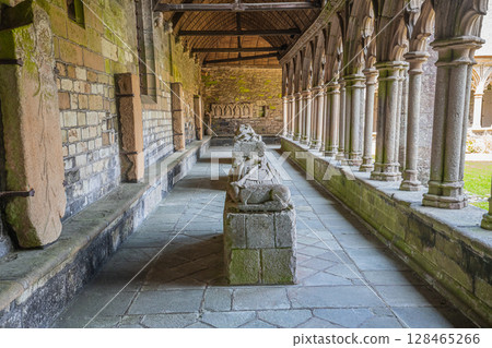 Saint Tugdual cathedral, Treguier, brittany, france, cloister 128465266