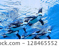 Flying penguins in the sunshine aquarium 128465552