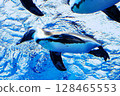 Flying penguins in the sunshine aquarium 128465553