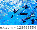 Flying penguins in the sunshine aquarium 128465554