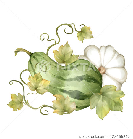 Delicate hand-drawn design featuring a green gourd, white pumpkin, and lush leaves with swirling vines. Perfect for fall decor, Thanksgiving crafts, cards and seasonal designs 128466242