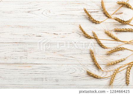 Sheaf of wheat ears close up and seeds on colored background. Natural cereal plant, harvest time concept. Top view, flat lay with copy space. world wheat crisis 128466425