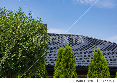 A sleek metallic tile roof is showcased above verdant trees, highlighting construction quality beneath a clear blue sky A sleek metallic tile roof is showcased above verdant trees, highlighting construction quality beneath a clear blue sky 128466893