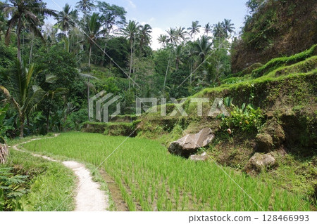 Indonesia, Bali, World Heritage Site, Gunung Kawi Indonesia, Bali, World Heritage Site, Gunung Kawi 128466993