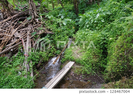 印尼, 峇裡島, 世界遺產, 卡威山 128467004