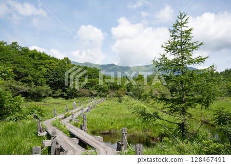 那須高原沼原濕地木板路風景 128467491