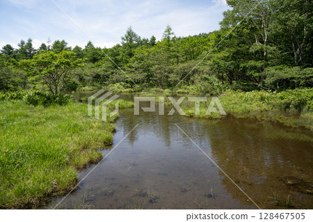 Scenery of the Numappara Marsh in Nasu Highlands 128467505