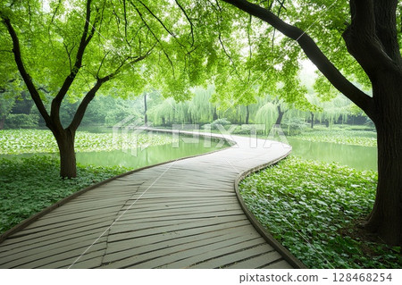 Curved Wooden Walkway Over Water Garden with Lush Greenery in Calm Setting. 128468254