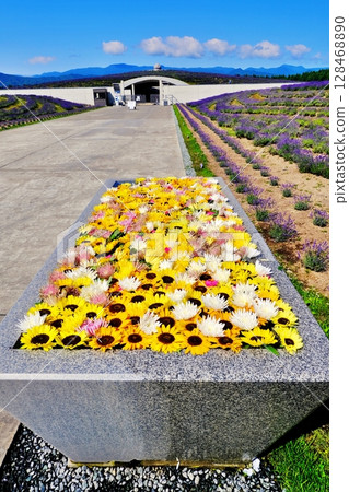 Scenery with a flower basin 128468890