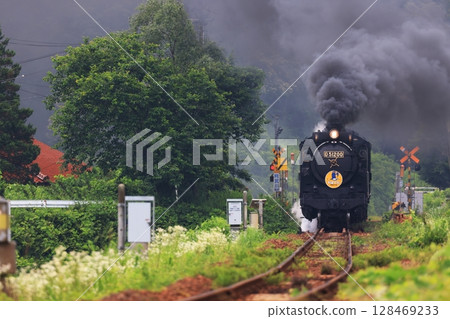 SL Yamaguchi D51 9604 SL Yamaguchi D51 9604 128469233