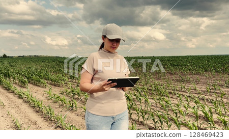 agriculture, farmer working corn field digital tablet, Smartphone for agriculture, Young farmer adapts quickly, Innovation in crop care, Tablet helps increase yields, Green future for farms, Woman 128469423