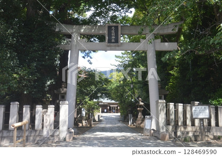 弓弦羽毛神社 128469590