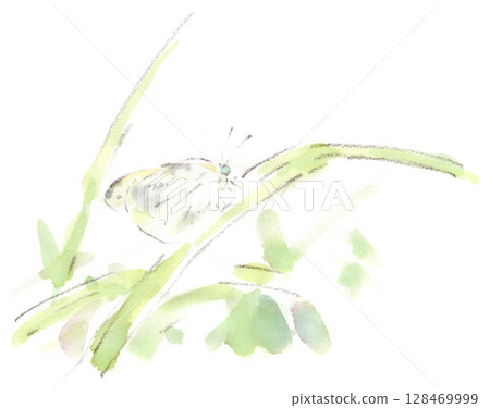 Watercolor illustration of a cabbage white butterfly resting on silver grass 128469999