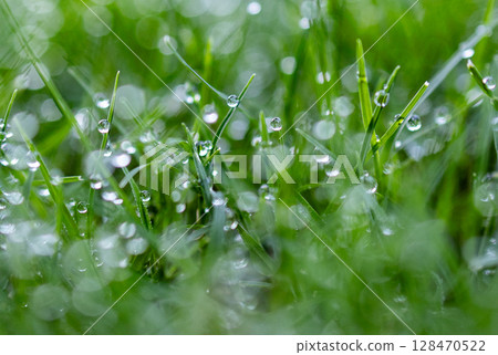 Morning dew Morning dew 128470522