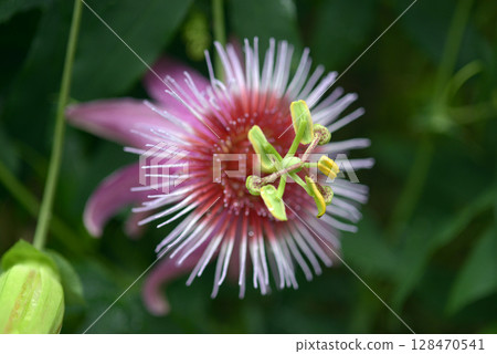 真由美時鐘工廠 128470541