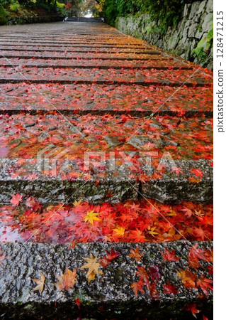 Women's Hill at Ao-Komyoji Temple in autumn 128471215