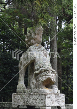 Lion statue with raised buttocks (Unkei statue) (Shitori Shizuri Shrine / 754 Miyauchi, Yurihama-cho, Tohaku-gun, Tottori Prefecture) 128471352