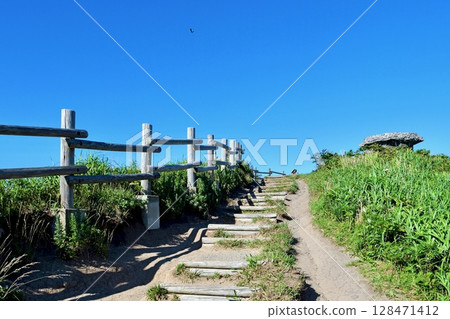 「積丹神威岬」是一條在藍天和新綠色下漫步的步道。 128471412