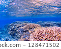 藍色的大海和珊瑚 128471502