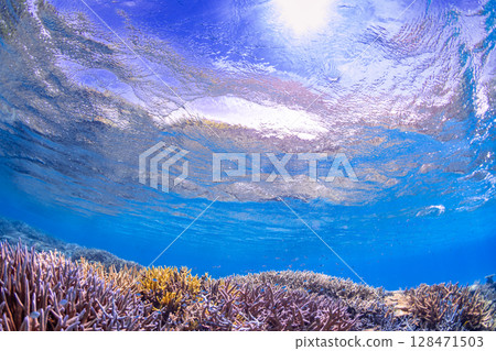 The sun and the blue sea 128471503