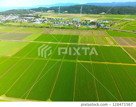 Aerial view of rice fields in Esashi, Hokkaido in summer Aerial view of rice fields in Esashi, Hokkaido in summer 128471567