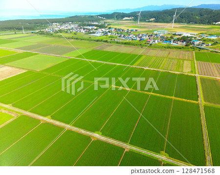 夏季北海道江差稻田的鳥瞰圖 夏季北海道江差稻田的鳥瞰圖 128471568