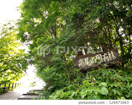 Hiking trail on Mount Takao, near the summit, Tokyo 128471663