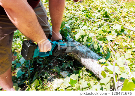 Worker uses cordless saw to cut fallen branch in green backyard on after thunder storm day. 128471676