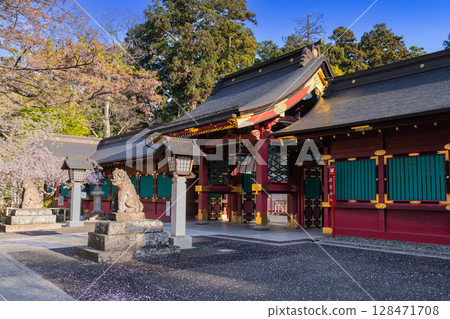 Shiogama Shrine Karamon Gate and Corridor with Fallen Flowers 128471708