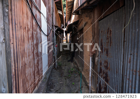 照片拍攝於滋賀縣近江八幡市,是距琵琶湖岸約 1.5 公里的衝島。 照片拍攝於滋賀縣近江八幡市,是距琵琶湖岸約 1.5 公里的衝島。 128471923