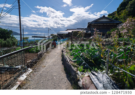 Photographed from Omihachiman City, Shiga Prefecture, the island of Okishima, located about 1.5 km off the coast of Lake Biwa. Photographed from Omihachiman City, Shiga Prefecture, the island of Okishima, located about 1.5 km off the coast of Lake Biwa. 128471930